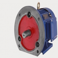 怎样区分电容式和罩极式单相电机？？？？？？