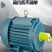 2900转速电机振动值要求几多？？？