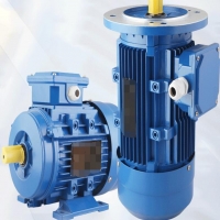 振动电机轴承坏了怎样拆卸跟装置？？？？？？